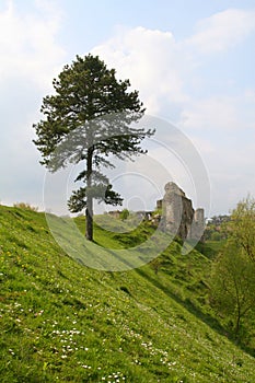 Tree, landscape and castle
