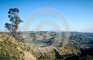 Tree and landscape with Etna volcano, Sicily, Italy