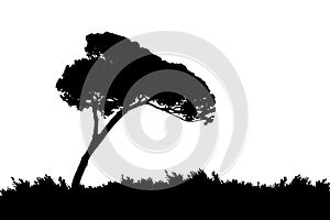 Tree landscape, isolated on the white background, vector illustration