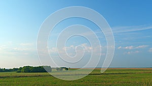 Tree and lawn on a background of clear sky. Green meadows and pastures in countryside. Timelapse.