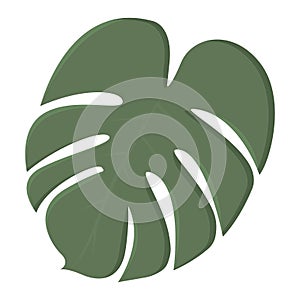 Tree leaf colored icon Vector