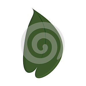 Tree leaf colored icon Vector