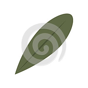 Tree leaf colored icon Vector