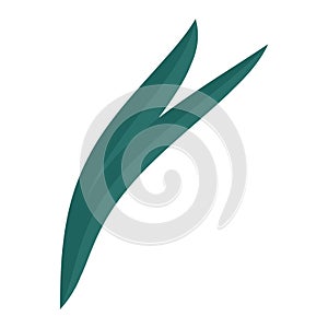 Tree leaf colored icon Vector