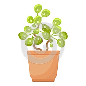 Tree leaf pot icon cartoon vector. House plant