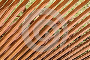 Tree leaf texture use background