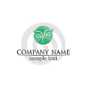 Tree leaf vector design eco friendly concept logo