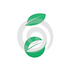 Tree leaf vector design eco friendly concept logo