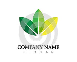 Tree leaf vector logo design, eco-friendly concept.