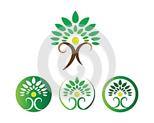 Tree leaf vector logo design, eco-friendly concept.