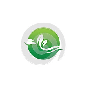 Tree leaf vector logo design eco friendly concept.