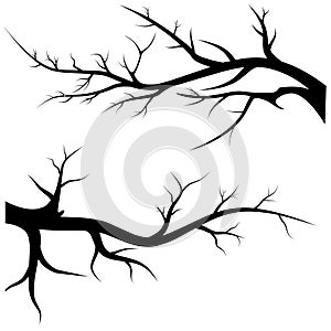 Tree leafless branches black silhouette