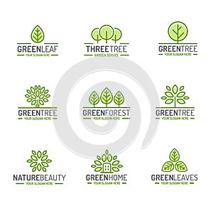 Tree and leaves logo set green color flat style for organic shop