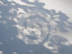 Tree leaves shadow on wall background, Abstract Background Cement Wall Shadow Light Concept