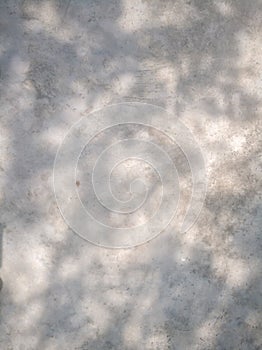 Tree leaves shadow on wall background, Abstract Background Cement Wall Shadow Light Concept