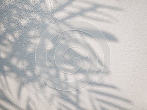 Tree leaves shadow on wall background, Abstract Background Cement Wall Shadow Light Concept