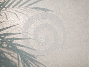 Tree leaves shadow on wall background, Abstract Background Cement Wall Shadow Light Concept