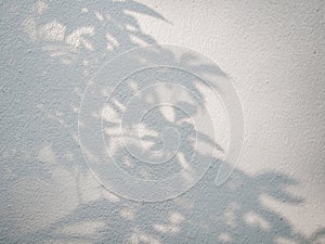 Tree leaves shadow on wall background, Abstract Background Cement Wall Shadow Light Concept