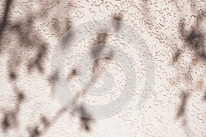 Tree leaves shadow on wall background, Abstract Background Cement Wall Shadow Light Concept