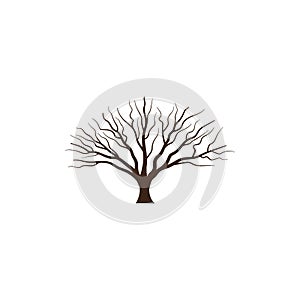 Tree without leaves vector illlustration