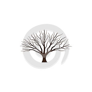 Tree without leaves vector illlustration photo