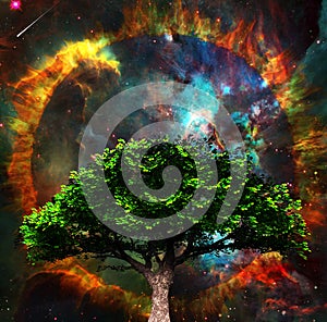 Tree of Life