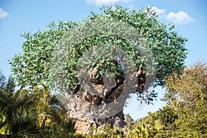 Tree of Life Animal Kingdom