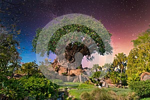 Tree of Life, Disney World, Animal Kingdom