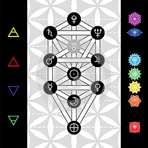 Tree of life with astrological symbols of planets, chakras and elements on background of flower of life