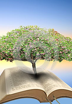 Un árbol de vida La biblia 