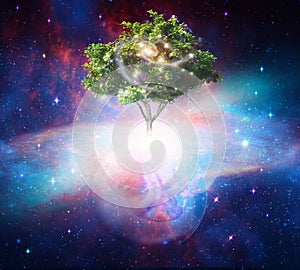 Tree of life, cosmic womb, creation, portal universal love, life concept