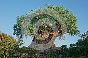 Tree of Life - Disney Animal Kingdom