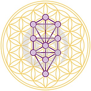 Tree Of Life Fits Perfect In The Flower Of Life photo