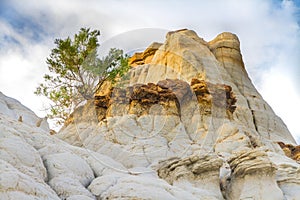 Tree of Life on a Hoodoo