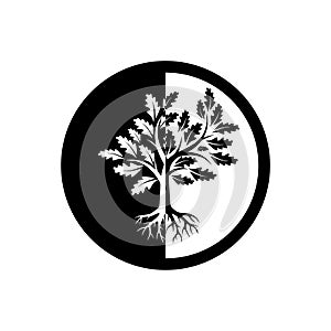 Tree of life icon, sign, logo, button, illustration with tree and roots silhouette