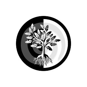 Tree of life icon, sign, logo, button, illustration with tree and roots silhouette