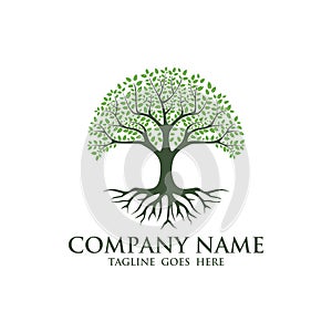 Tree of life logo design inspiration isolated on white background