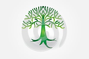 Tree of life logo vector