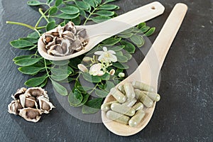 The tree of life-Moringa oleifera medicinal plant