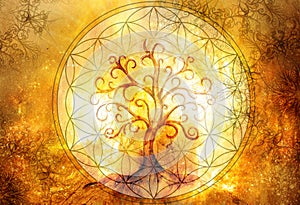 Tree of life symbol and flower of life and space background with ornaments, yggdrasil.