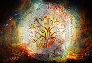 Tree of life symbol and flower of life and space background, yggdrasil.