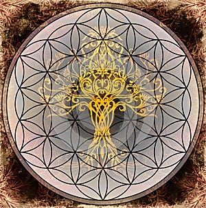 Tree of life symbol on structured ornamental background, flower of life pattern, yggdrasil.