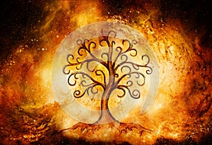 Tree of life symbol on structured and space background, yggdrasil.