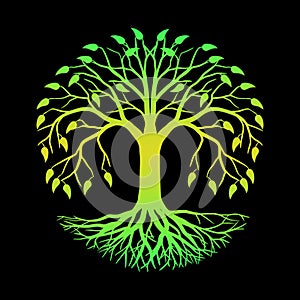 The Tree of Life vector photo