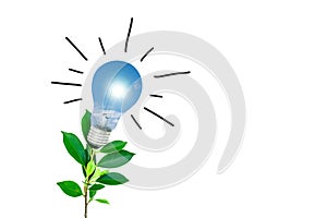 Tree with light bulbs on a white background Energy saving concept