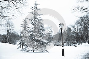 Tree and light pole with snow in vintage style