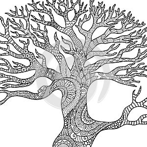 Line art design of dry tree branches for engraving, coloring book, coloring page, printing on product and so on. Vector illustrati photo