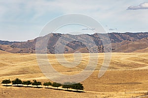 Tree line in foreground mountain range deep background