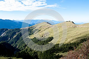 The tree line of the mountain