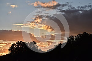 Tree Line Silhouette